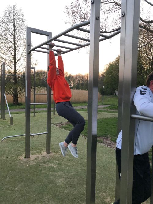 monkey bars 