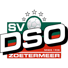 logo dso bok